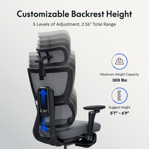 FLEXISPOT C7MAX Premium Ergonomic Office Chair, Foam Seat Cushion, Black