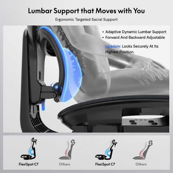Flexispot C7 Upgraded Series Black Ergonomic Office Chair, Foam material, No footrest