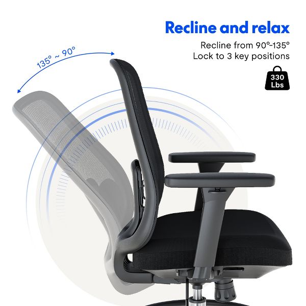 FLEXISPOT C2 Ergonomic Office Chair, Foam Seat Cushion, Black