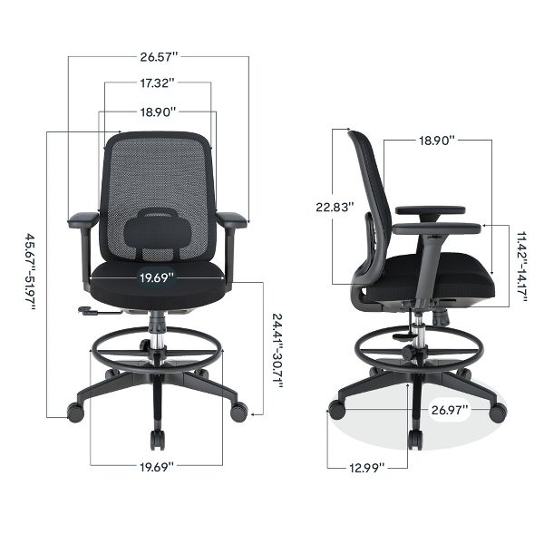 FLEXISPOT C2 Ergonomic Office Chair, Foam Seat Cushion, Black