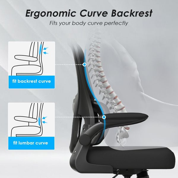 Black Ergonomic Mesh Office Chair with Adjustable Lumbar Support, Flip-Up Armrests, Rolling Wheels and Height Adjustable Seat