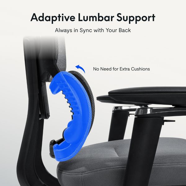 FLEXISPOT C7MAX Premium Ergonomic Office Chair, Foam Seat Cushion, Black